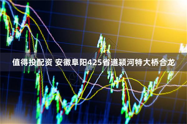 值得投配资 安徽阜阳425省道颍河特大桥合龙