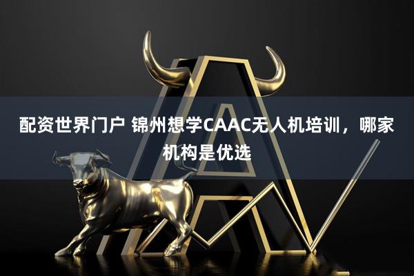 配资世界门户 锦州想学CAAC无人机培训，哪家机构是优选
